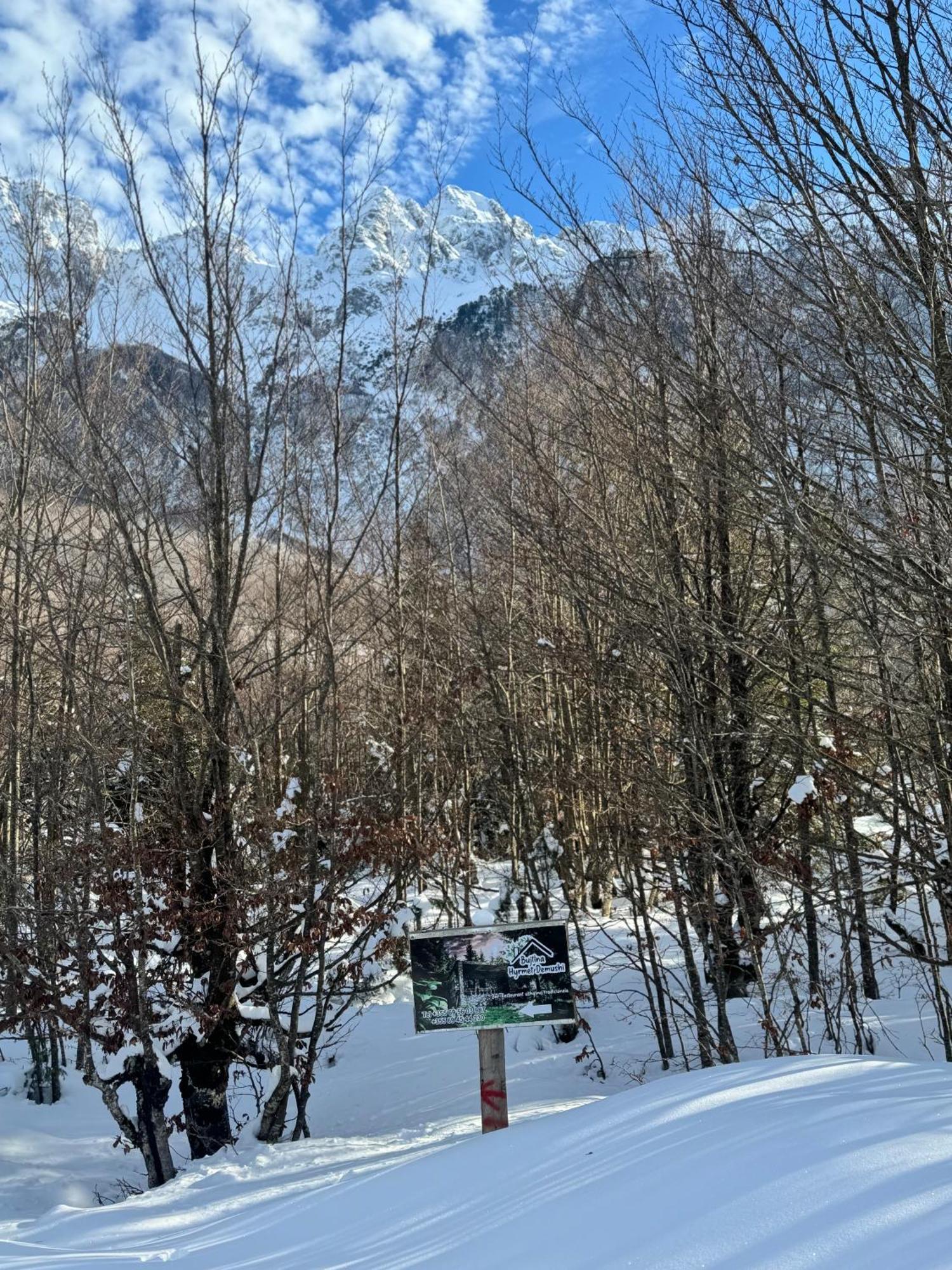 Guest House Hyrmet Demushi 瓦勒博内 外观 照片
